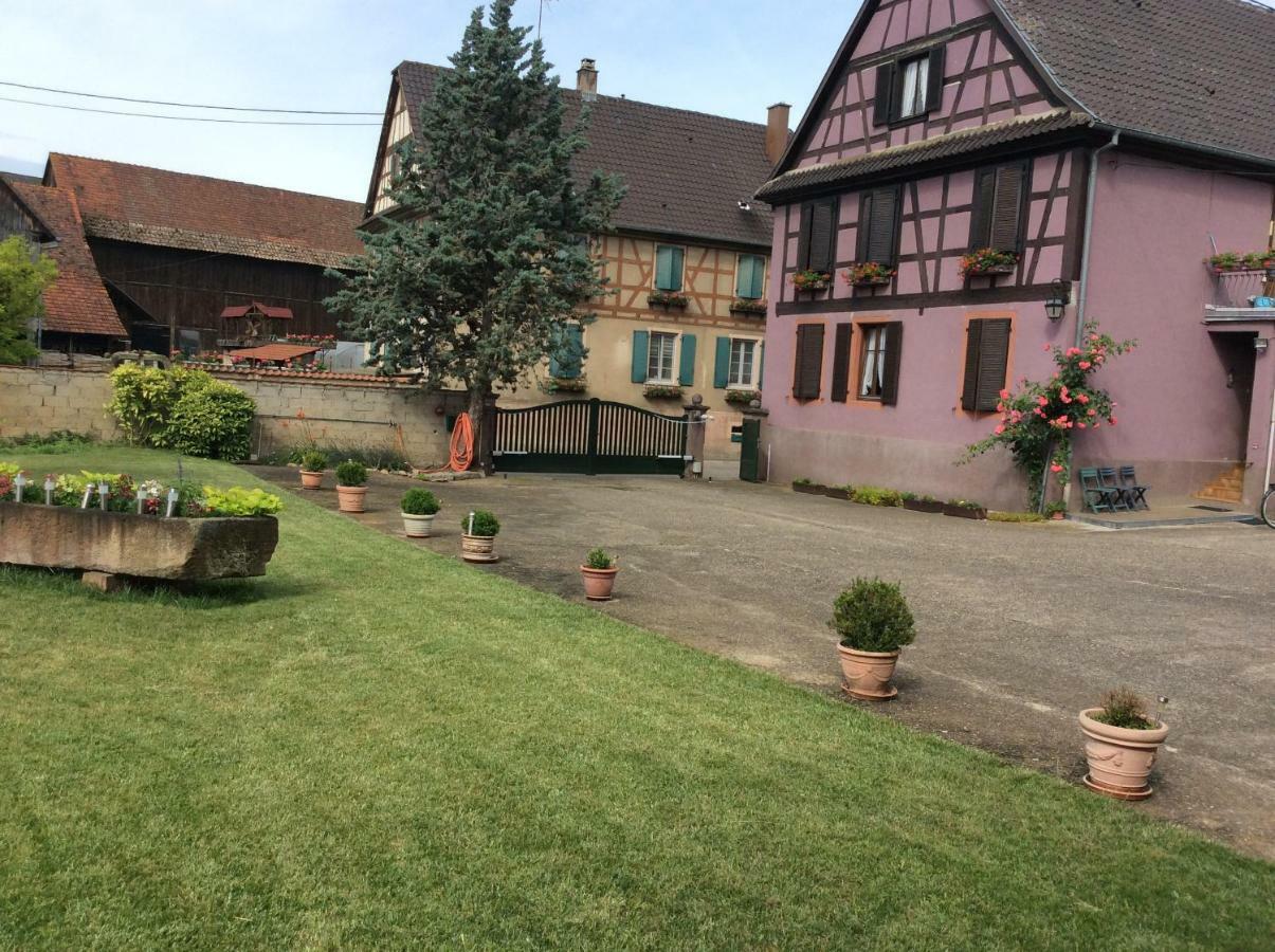 Gite HEINRICH Ebersheim Extérieur photo